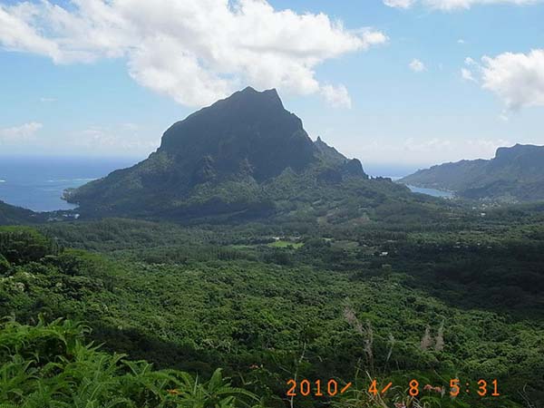 海外例会