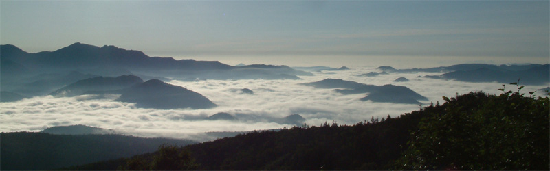 山